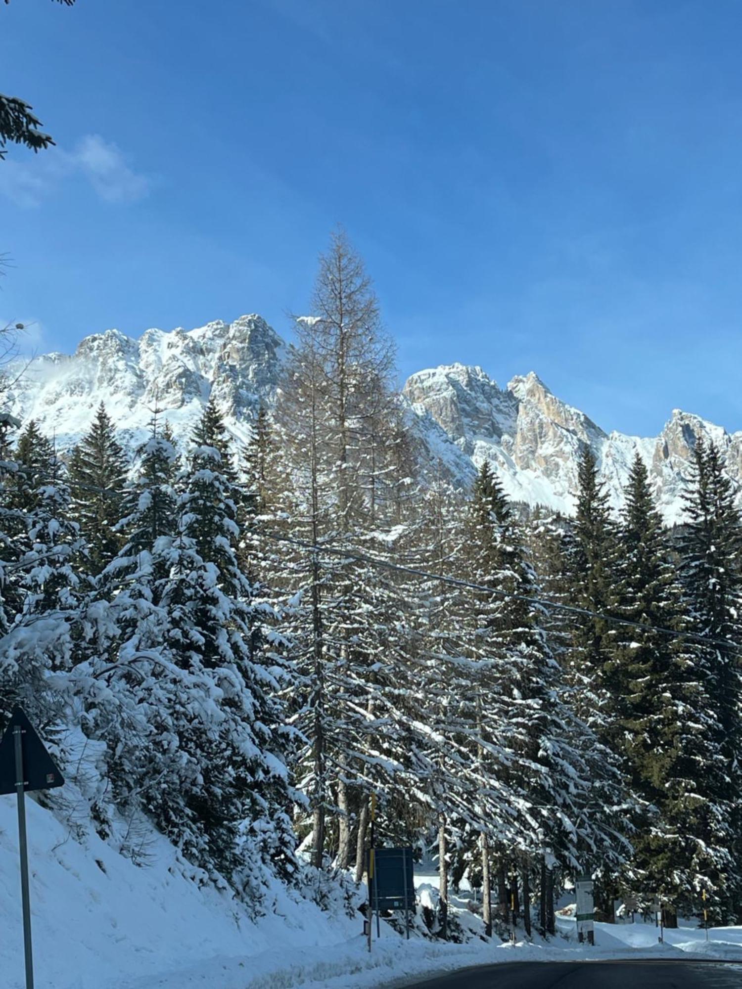 Chalet Delle Dolomiti Pieve di Cadore Exterior photo